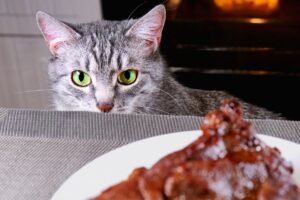Can-Cats-Eat-Steak