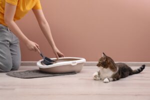 How To Keep Cat Litter Off The Floor